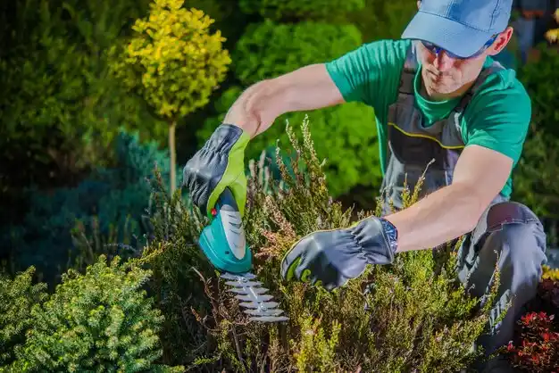 landscaping services Upton